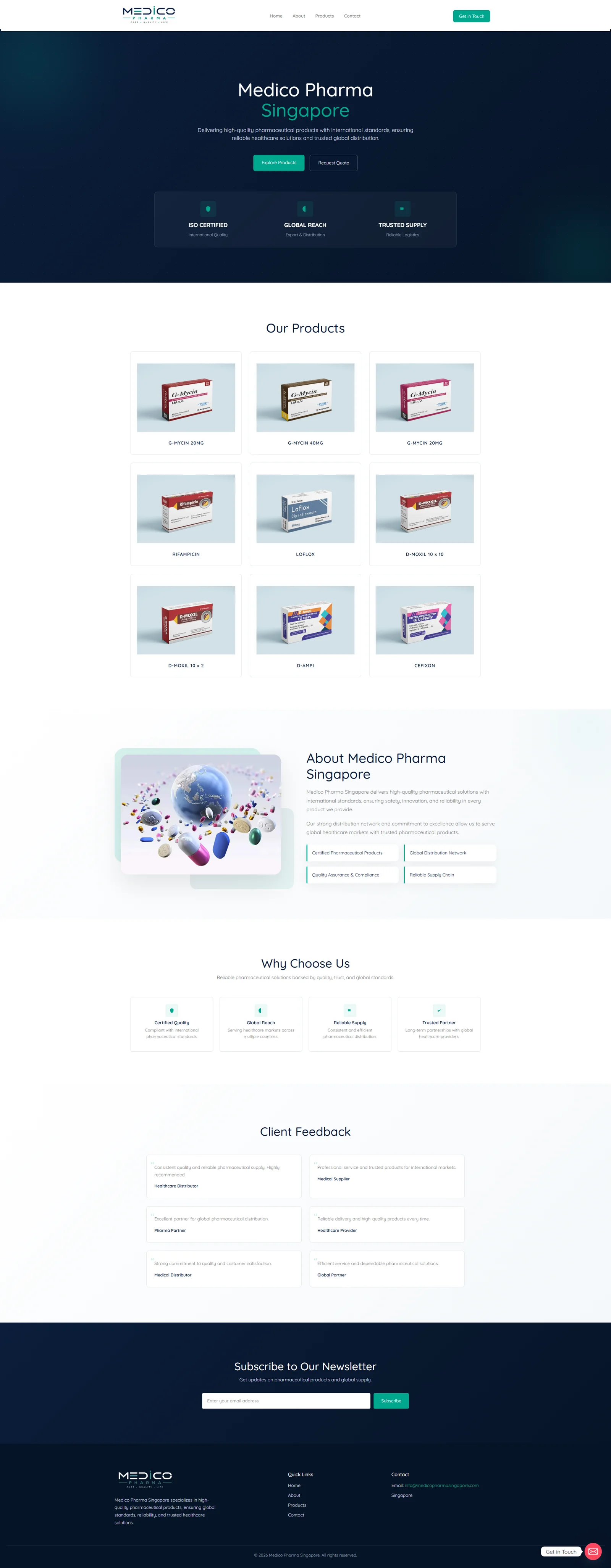 Website design project preview 14