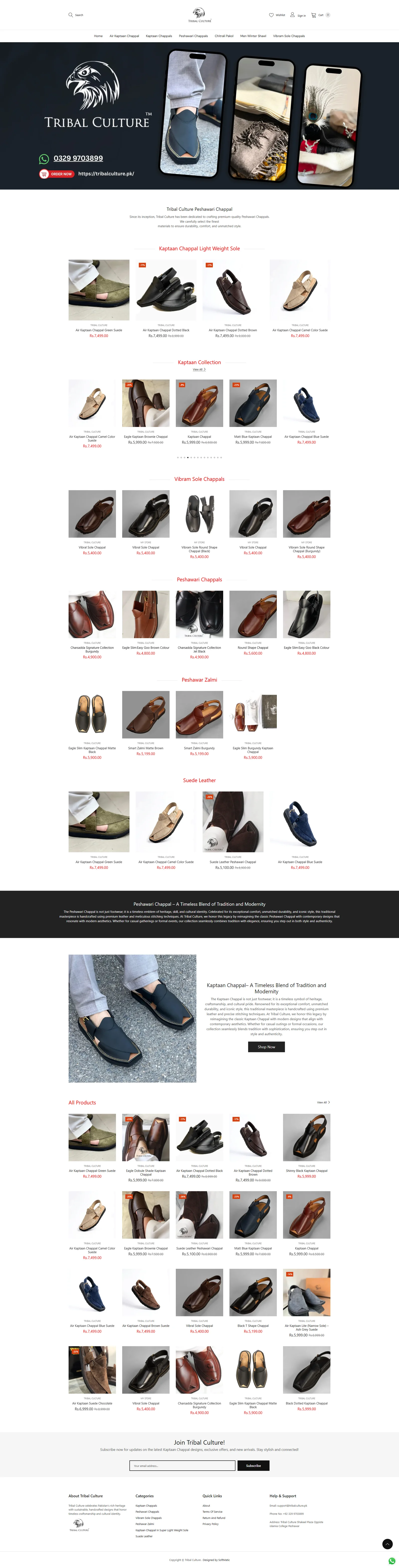 Website design project preview 25