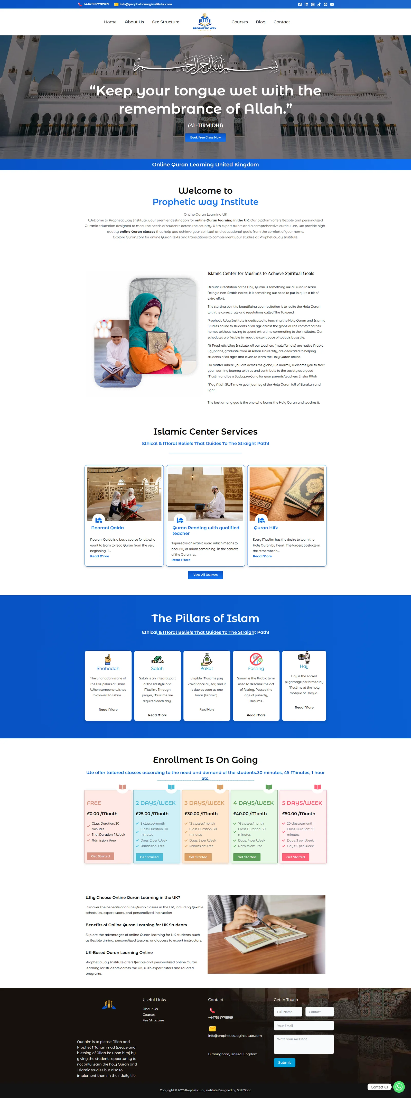 Website design project preview 19